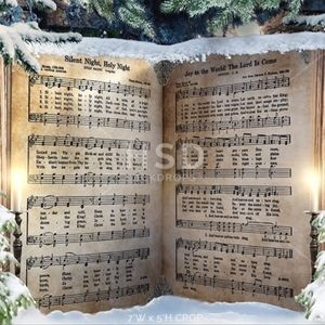 Christmas photography backdrop